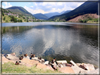 foto Lago della Serraia